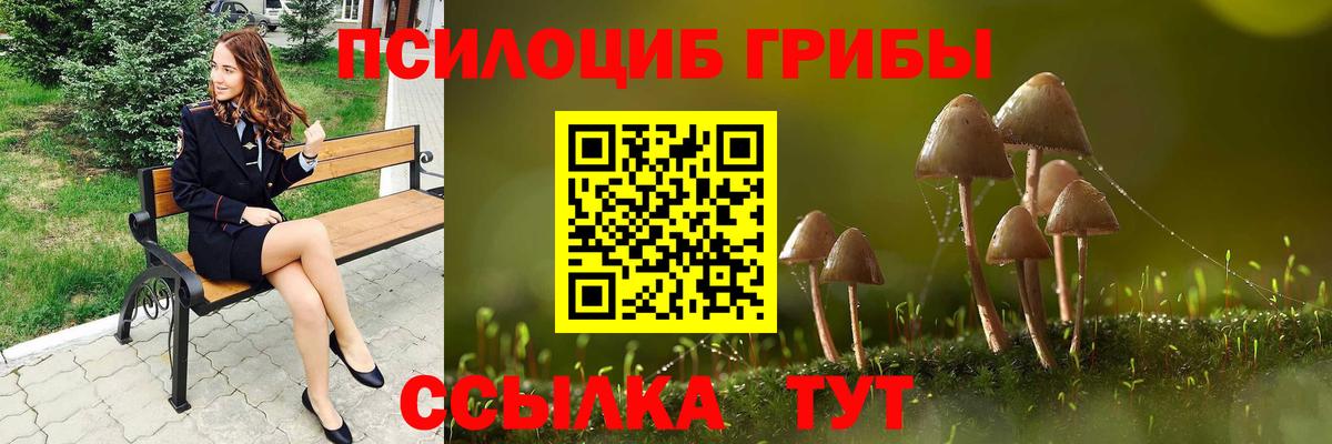 Нурлат  Галлюциногенные грибы Magic Shrooms  Вход с VPN  Псилоцибиновые грибы Magic Shrooms 
